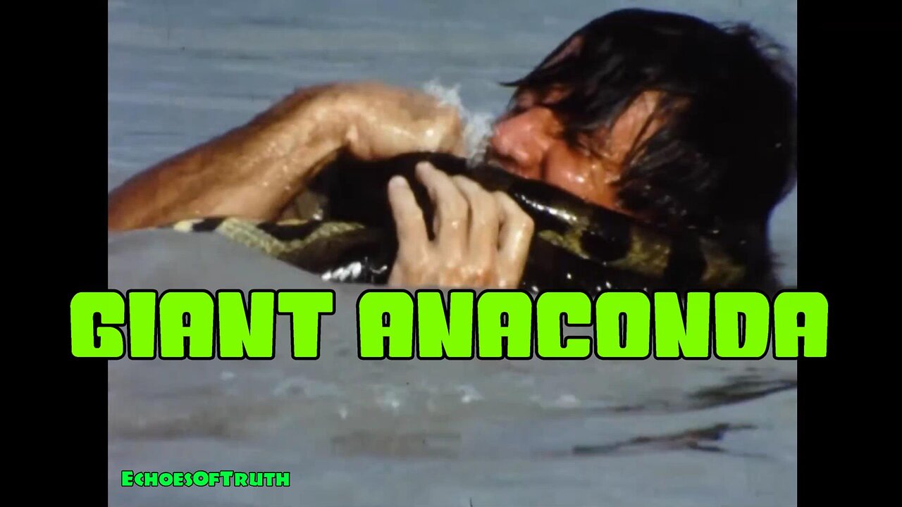 Two Men Fight A Giant Anaconda Snake!