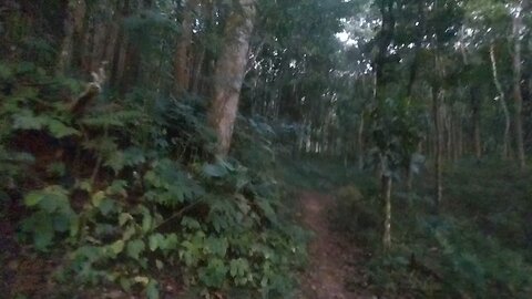 #Solohiking Bukit Cendono eps.8