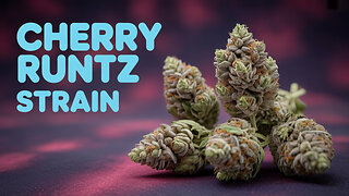 Cherry Runtz 🍒 JK Distro