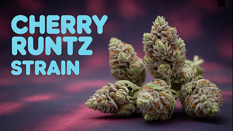 Cherry Runtz 🍒 JK Distro