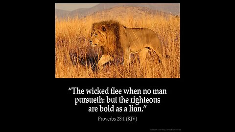 ✟ “The wicked flee when no man pursueth: but the righteous are bold as a lion.”