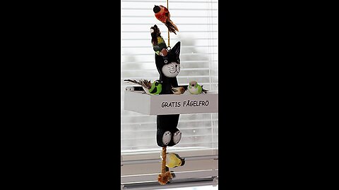 Vill tacka er alla som bidragit med pengar till fågelmaten