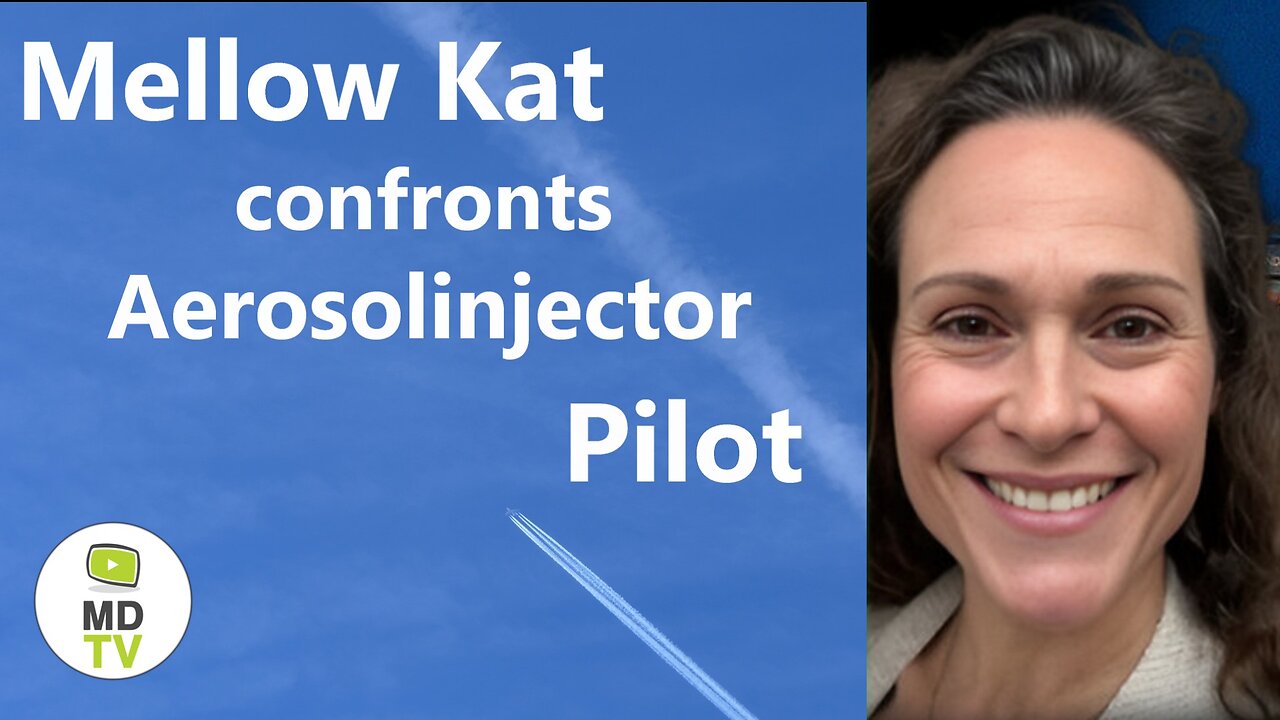 Mellow Kat confronts Aerosolinjector Pilot