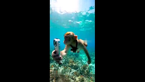 Underwater content production 🤣😊