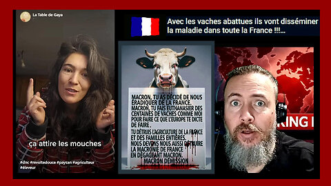 L'Abattage des vaches pour de nouvelles pandémies ? (Hd 1080)