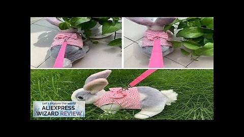 Cute Rabbit Vest Small Animal Outdoor Walking Harness and Leash Set Kawaii Review