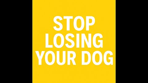 Stop Losing Your Dog! Doxieday Custom Harness With Name & Number