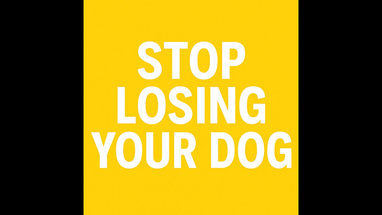 Stop Losing Your Dog! Doxieday Custom Harness With Name & Number