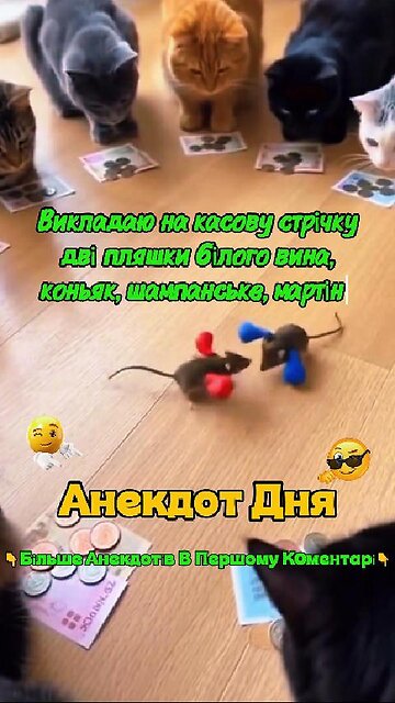 Анекдот про кота