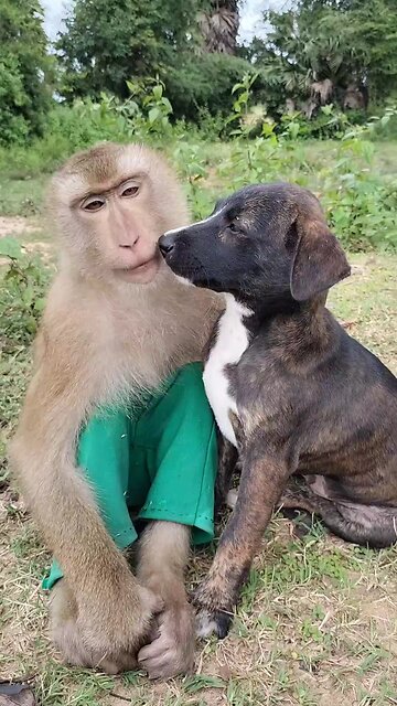 Viral video SokYaa, OG, Pao & Mom Are Famous Around The World #shorts #anime #trend #edit