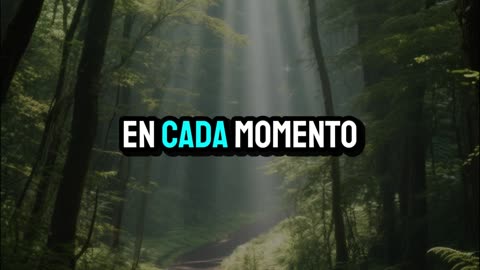 Señor, dirige mis pasos hoy