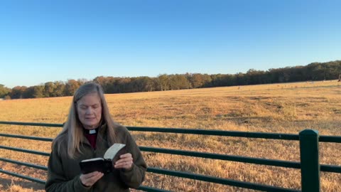 Morning Prayer, Daily Office