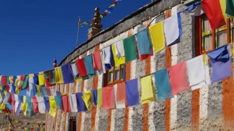 Sangha December 14 2025