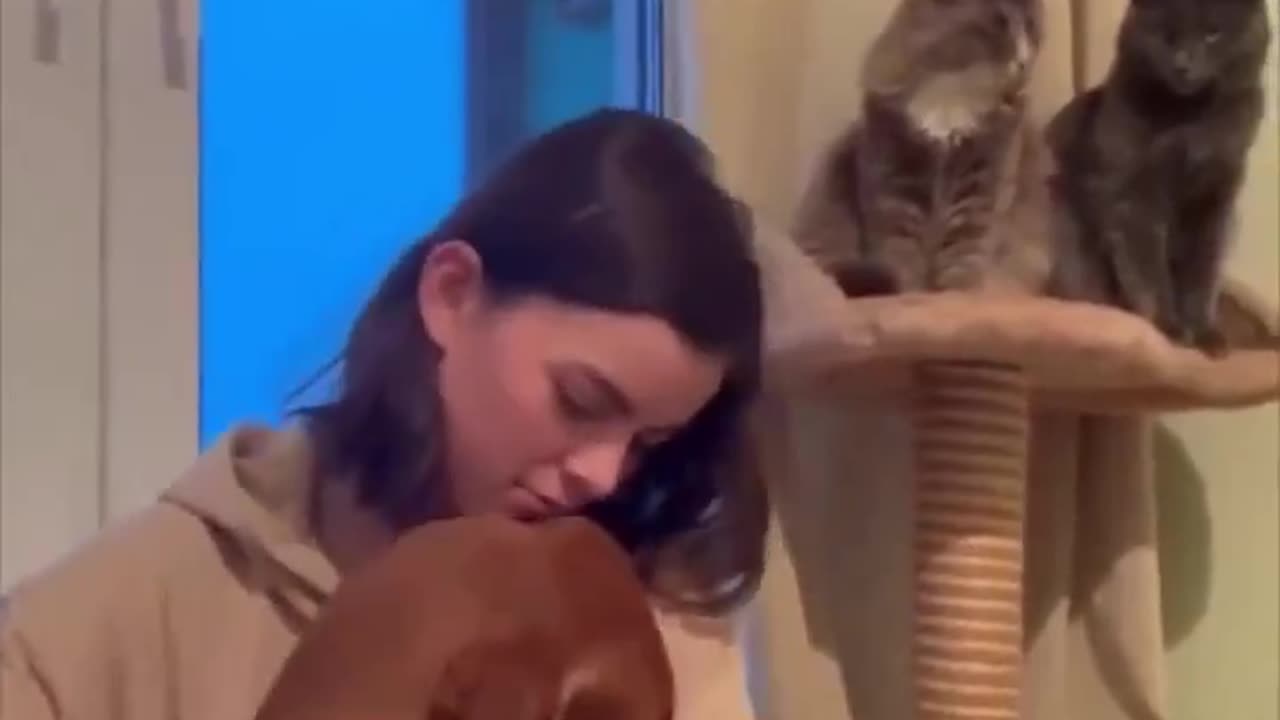 When the cats bully you.. 😅