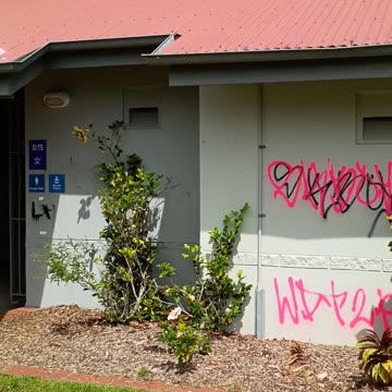 25.1.2025 Just Beautiful