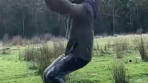funny AI edits
