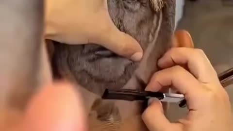 TRUMP š¤ÆHAIRCUT