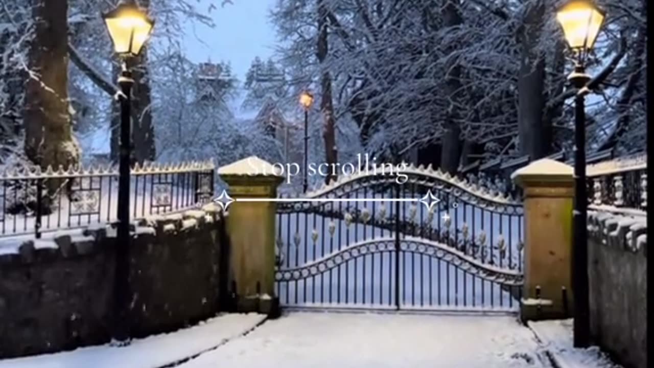 . How to Make the Best Snow Angel! 👼 | Snow Fun Tips