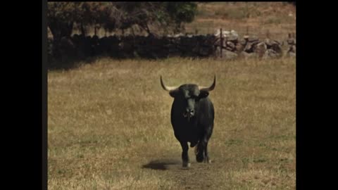 Raymond 'Red' Reddington final Scene