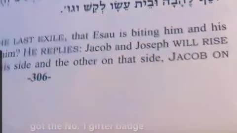 MIDNIGHT ZOHAR. ALEPH AND I. You shall not plow with and ox and donkey together. (VAYISHLACH 12)