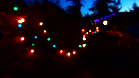 Christmas Lights 12/31/24: