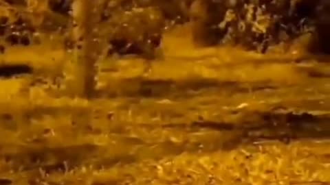😱👻 You Won't Believe What They Caught on Camera! Ghost | TheHauntingHour