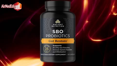 7 Supplements for Intestinal Health A Holistic Guide