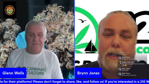 The THC show with Glenn Wells