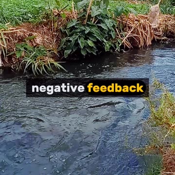 failure is not the end its the