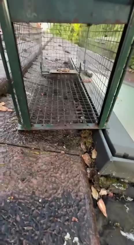 It’s entrapment I tells ya 🤣