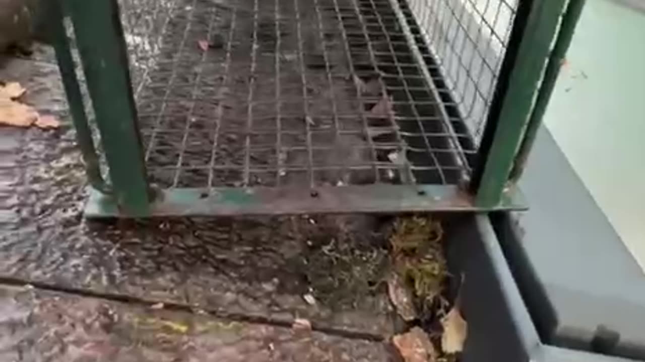 It’s entrapment I tells ya 🤣