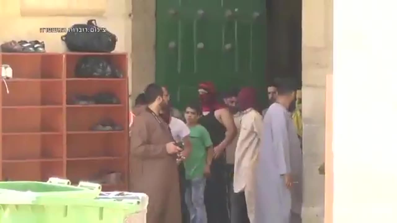 Palestinians love to throw rocks. Palestinians throw rocks near the Temple Mount