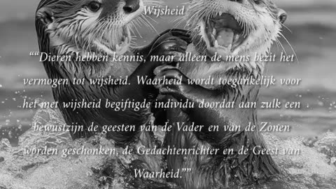 Wijsheid