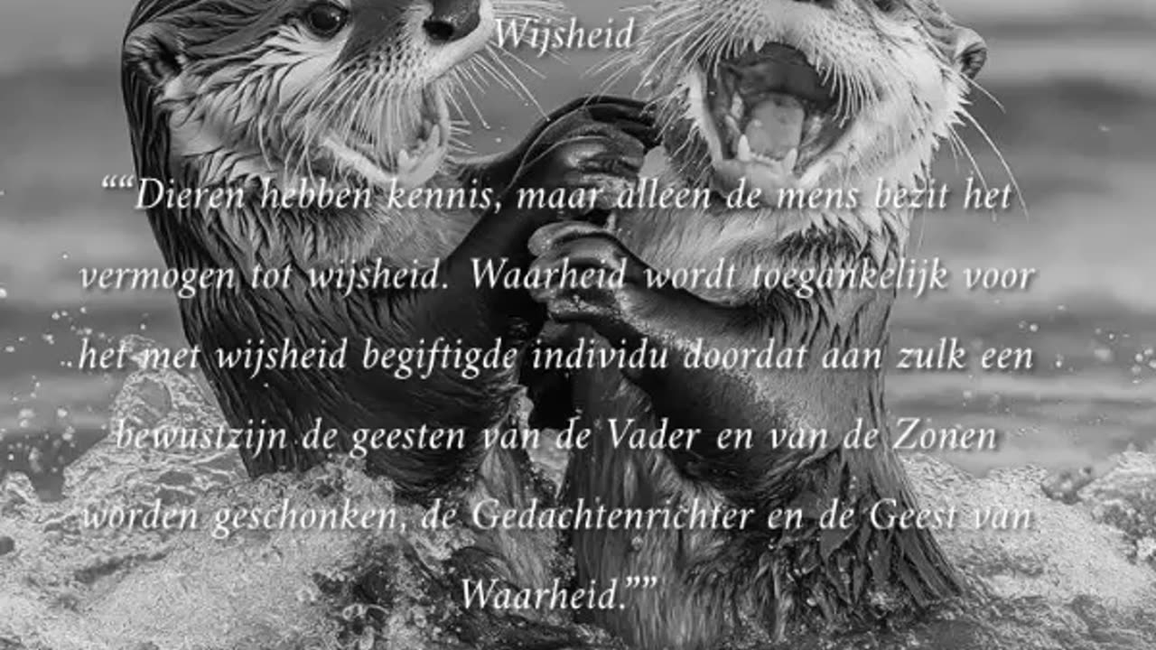 Wijsheid