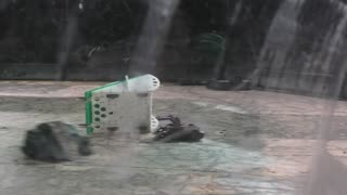 Robo Riots Dublin 2025: Featherweight Final