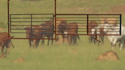 Freestanding Bow Gate Panel