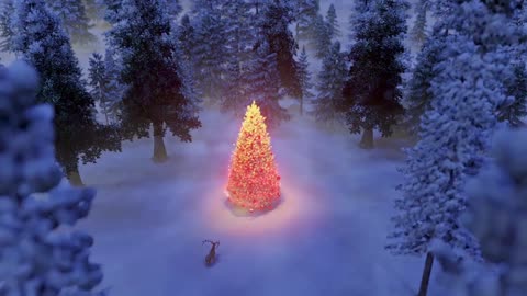 Three Thirty Three December 14, 2025 - A Song