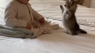 😂🐶 That's So Cute! | FunFM