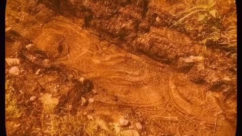 The World is a Hologram...