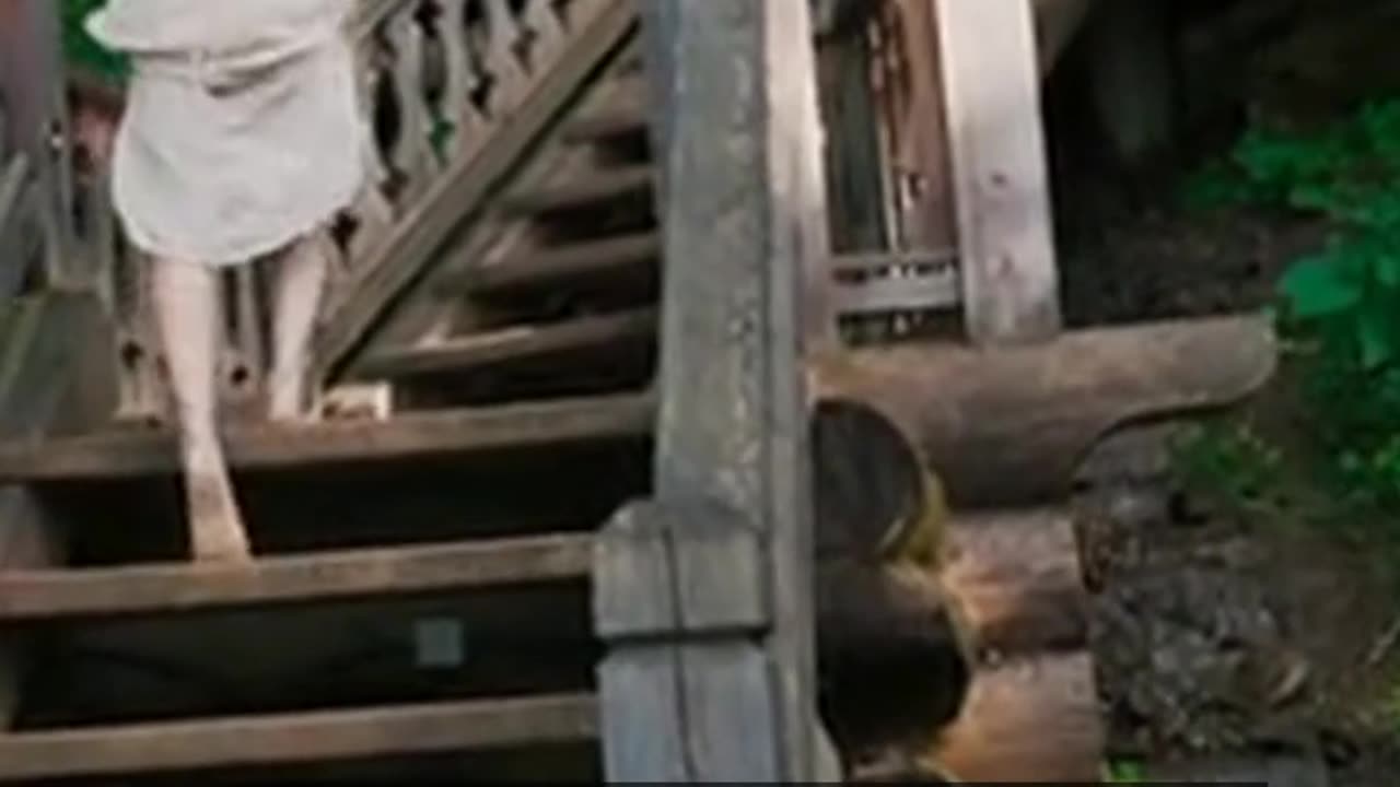 Daily Horoscope | Pisces 🌟