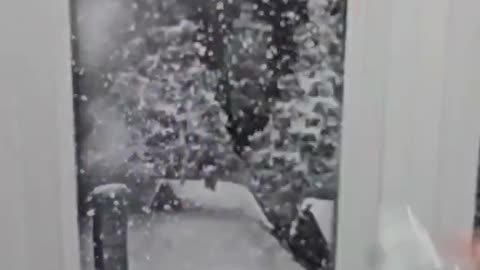 Artist Creates Stunning Window Art Using Only Spray Paint 🎨✨