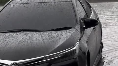 Dream Circuit – where imagination runs on sound.