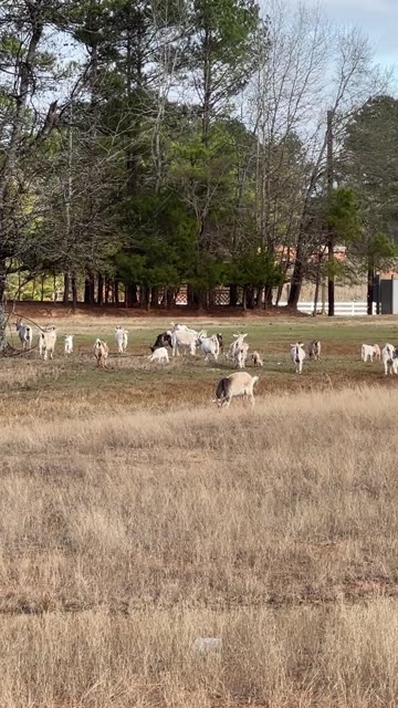 They walk away when I talk to them