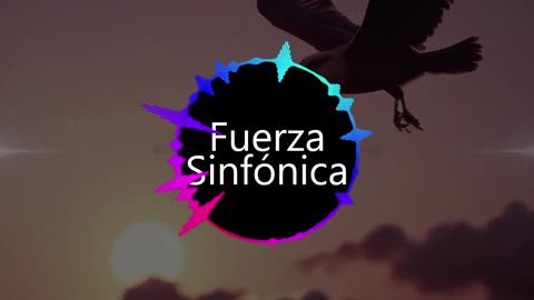 Fuerza Sinfonica