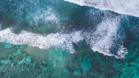 Daily Horoscope | Cancer 🌟