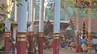 കുത്തി വീഴ്ത്തി തൊട്ടടുത്ത് നിന്ന ആനയെ _ koyilandi elephant attack _ Elephant attack kerala 2025