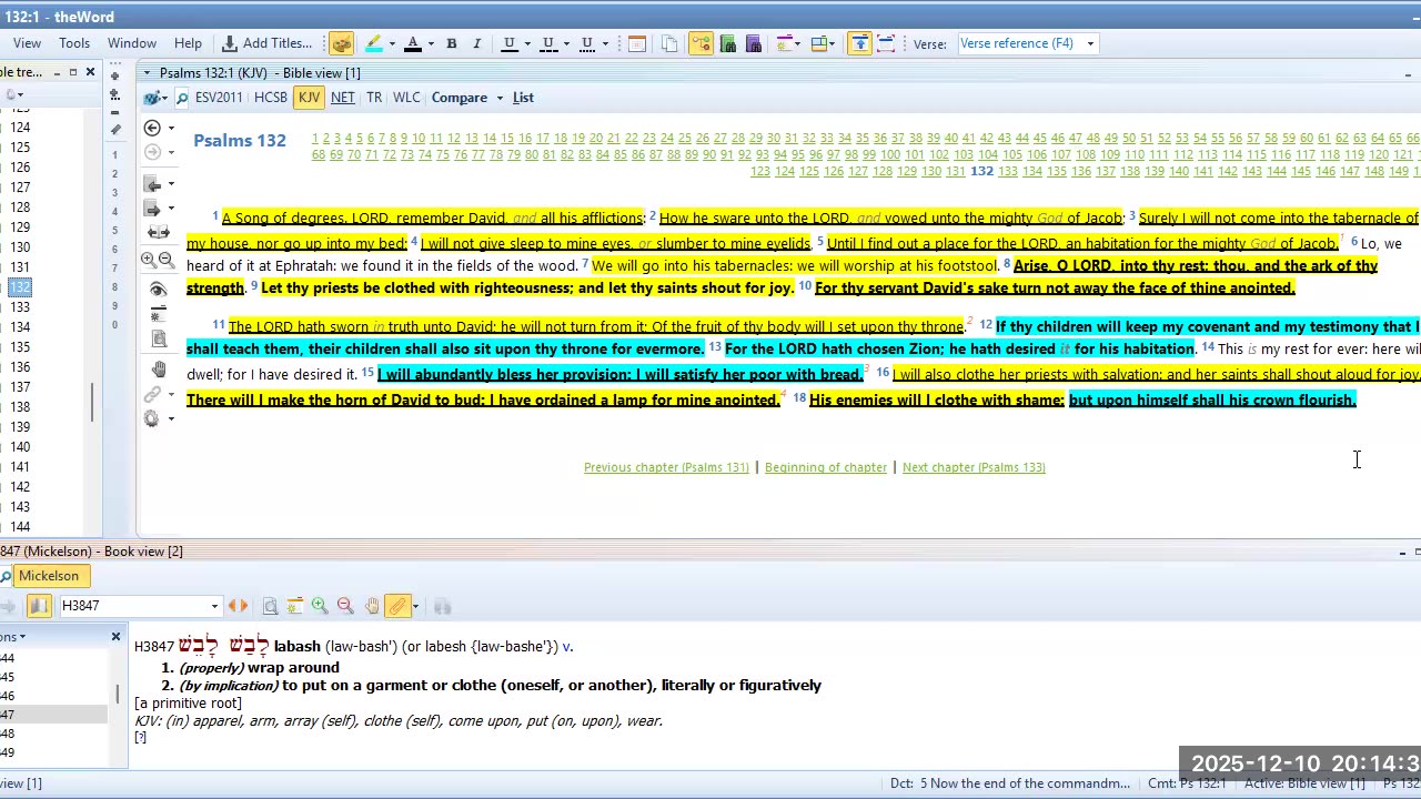 Bible Study Psalms 131 and 132