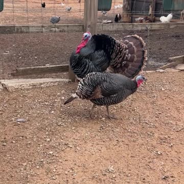 It's that time of the year!!