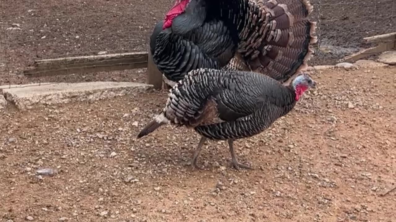 It's that time of the year!!