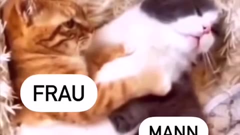 Liebe ist schön
